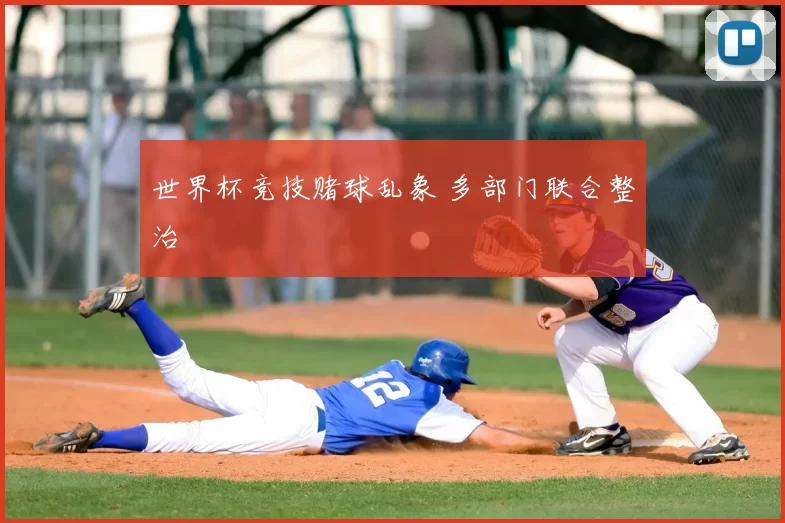 世界杯竞技赌球乱象 多部门联合整治