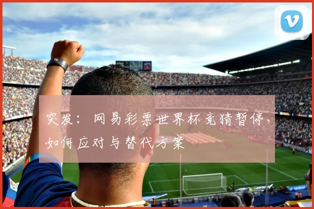 突发：网易彩票世界杯竞猜暂停，如何应对与替代方案