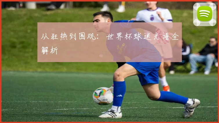 从狂热到围观：世界杯球迷光谱全解析