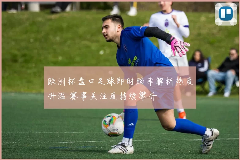欧洲杯盘口足球即时赔率解析热度升温 赛事关注度持续攀升