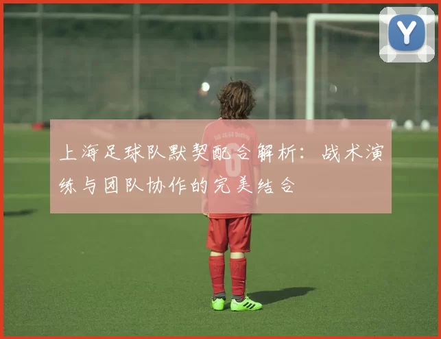 上海足球队默契配合解析:战术演练与团队协作的完美结合