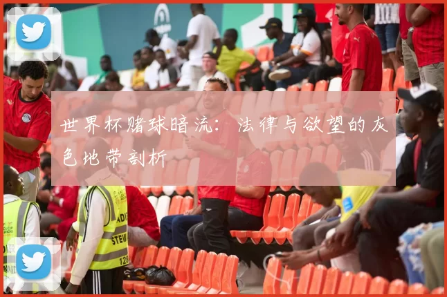 世界杯赌球暗流:法律与欲望的灰色地带剖析