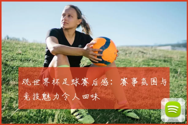 观世界杯足球赛后感：赛事氛围与竞技魅力令人回味